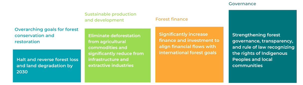 Forest Declaration Platform | Climate and Forests